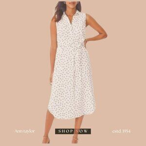 Ann Taylor Linen Camp Shirt Dress – XLP (Petite)